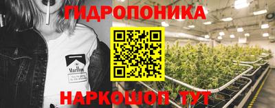 сатива Долгопрудный