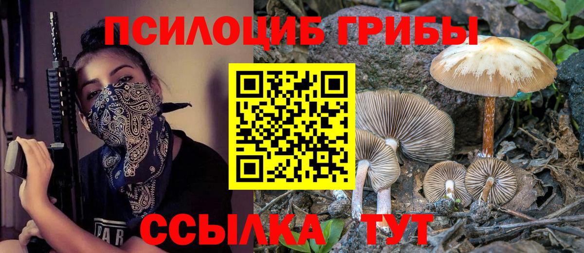 Владимир  наркошоп  Вход с VPN  Псилоцибиновые грибы Psilocybine cubensis  Псилоцибиновые грибы мицелий 